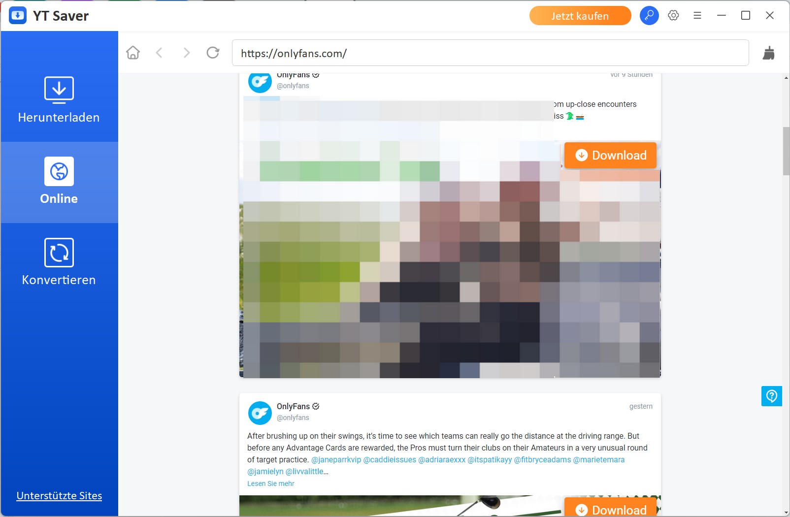Anleitung zum OnlyFans Videos Speichern mit YTSaver OnlyFans Downloader