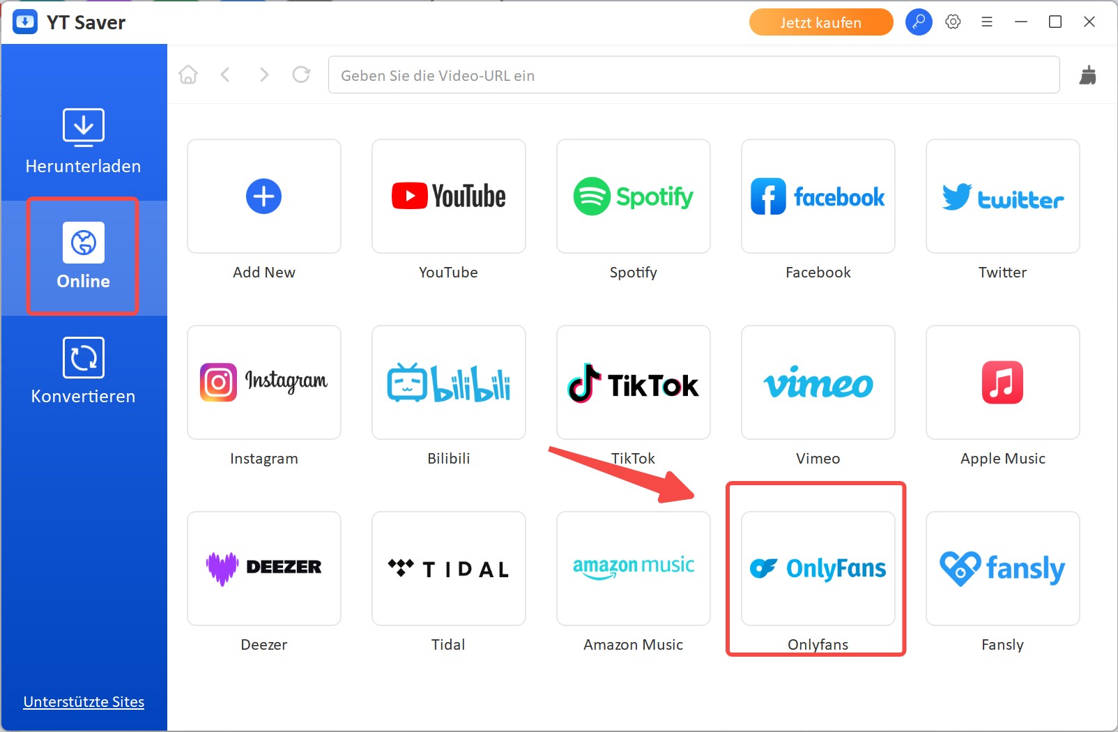 Anleitung zum OnlyFans Videos Speichern mit YTSaver OnlyFans Downloader