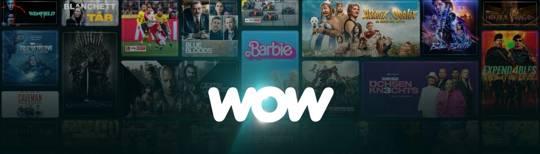 WOW TV Videos herunterladen: Wie schaue ich meine Lieblingsserien auch offline