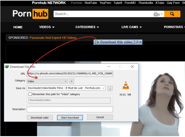 download sexy videos with Internet Download Manager