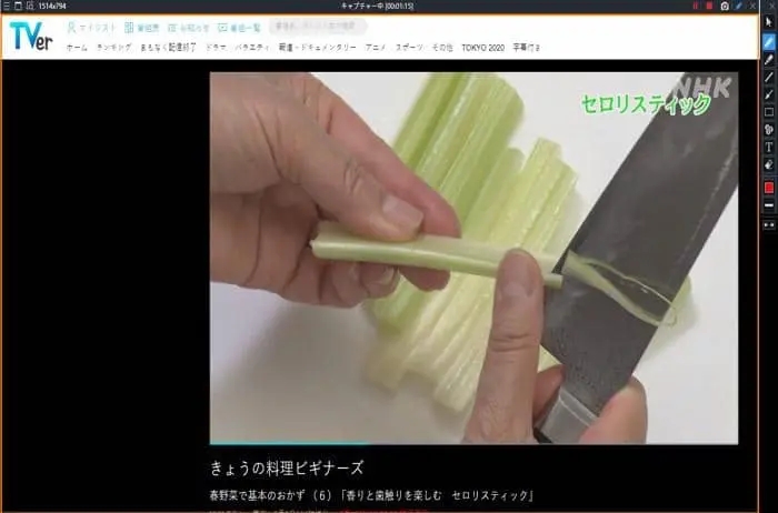 ひかりtv 録画