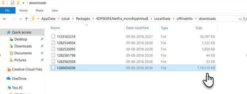 netflix ダウンロード 保存先
