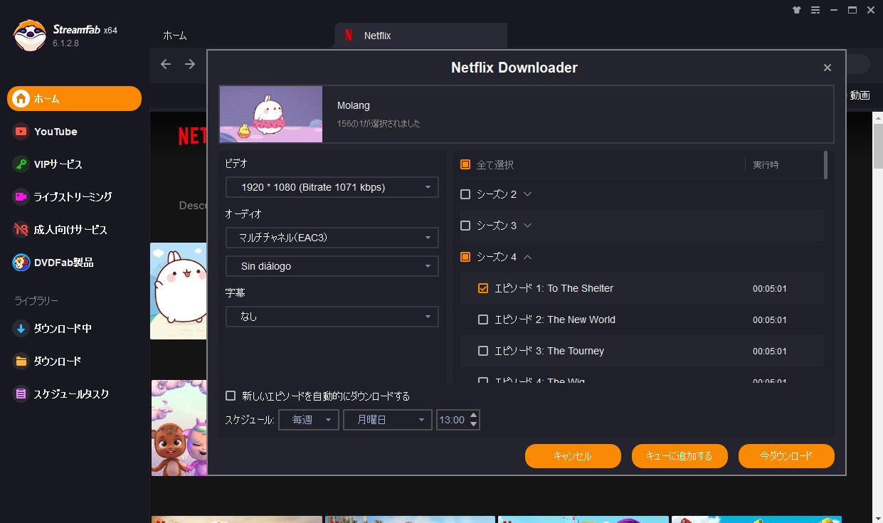 netflix video downloader