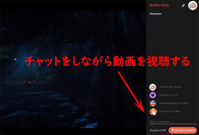 netflix party