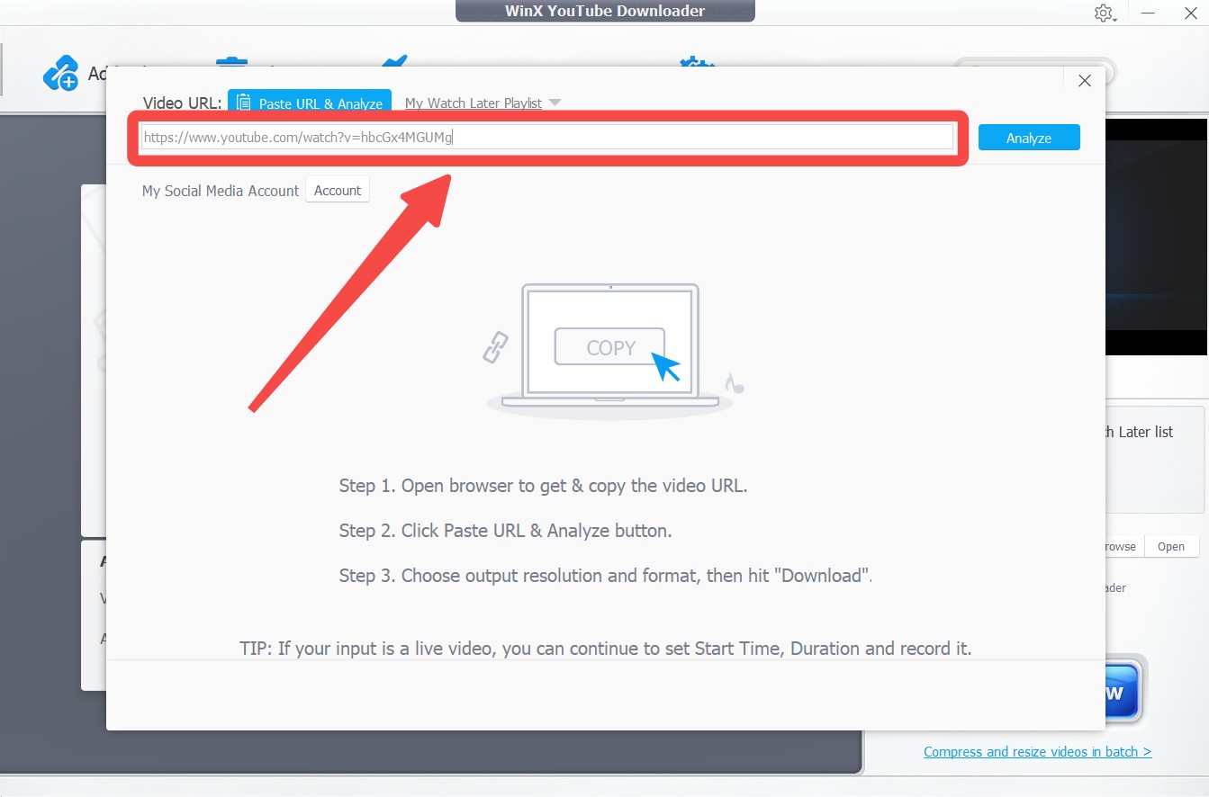 winx youtube downloader review: how to use step 2