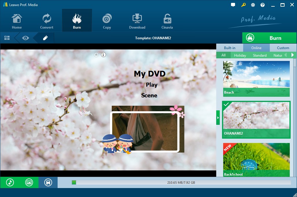 video brennen für dvd player, dvd video abspielen auf pc:1.3 Leawo DVD Creator
