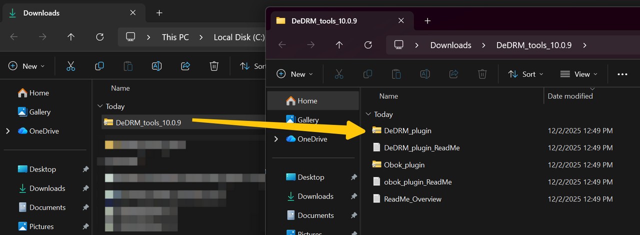Install DeDRM Plugin for Calibre