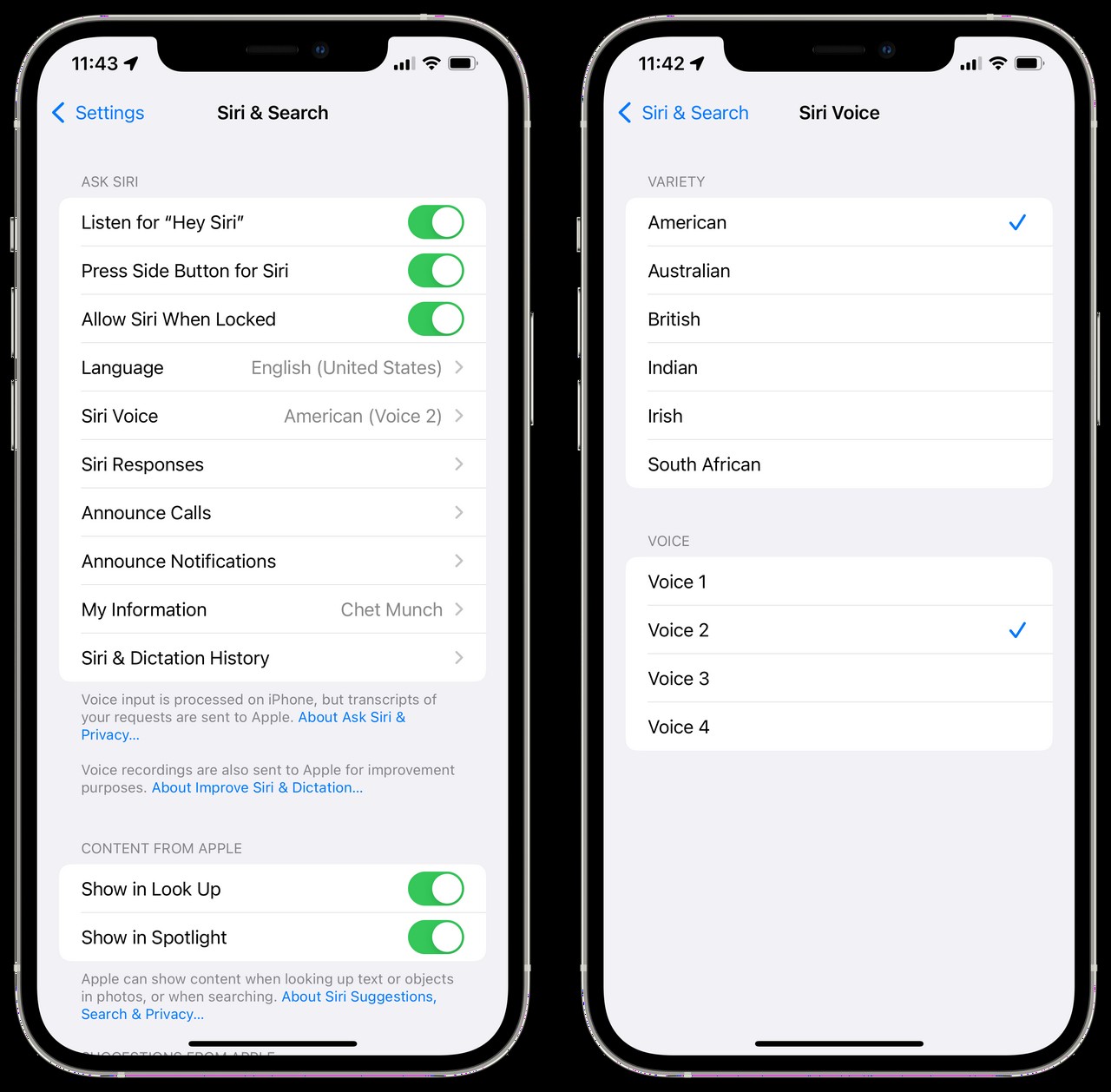 How to Use Siri's Text-to-Speech?