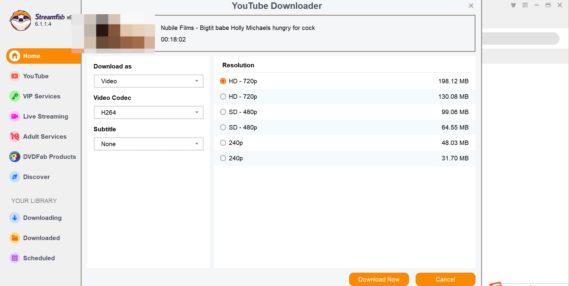download youporn videos with streamfab step 3