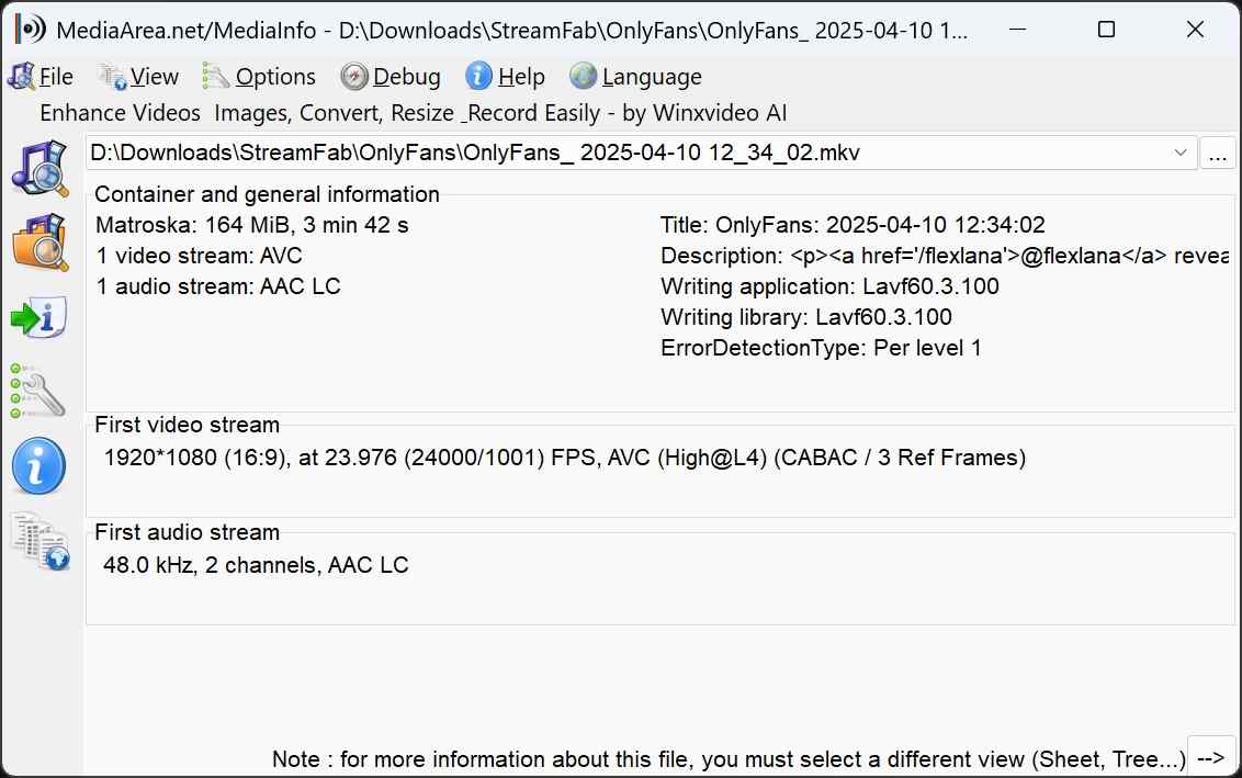 Beste OnlyFans-Video-Downloader StreamFab Ausgabequalitäts-Screenshot