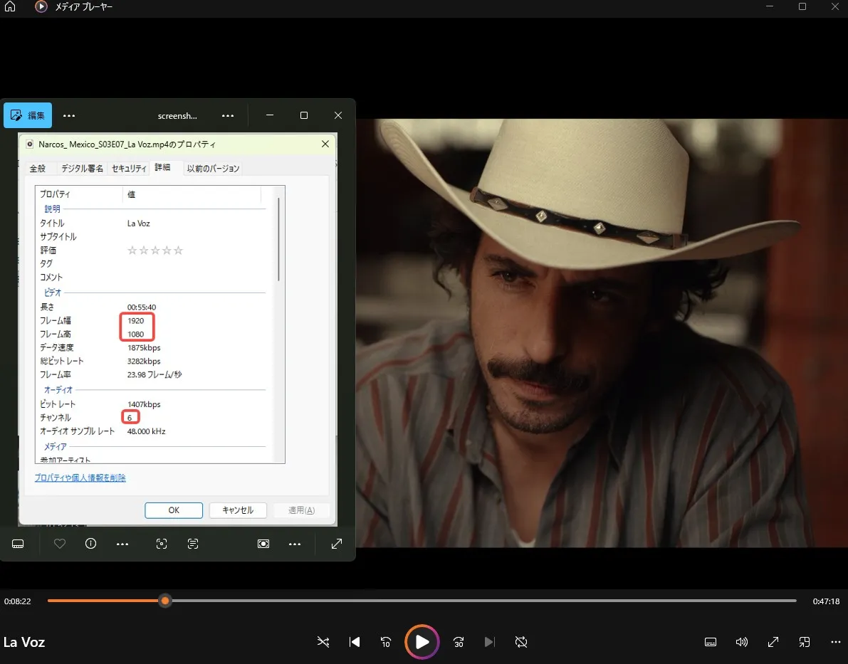 Netflix Filme Downloaden mit wenigen Klicks beim StreamFab Netflix Downloader