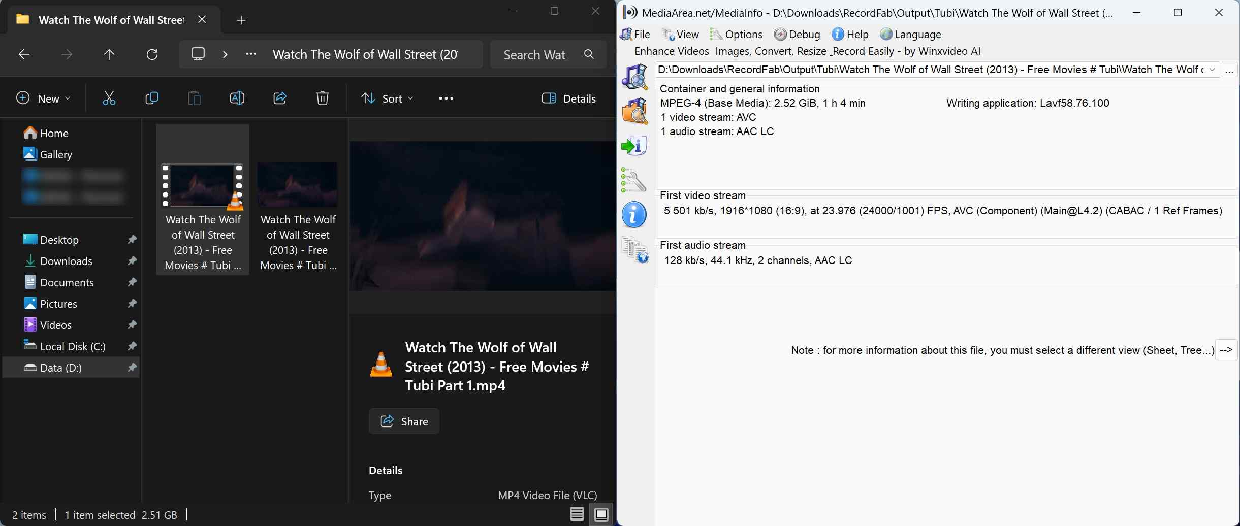 how to screen record Tubi for offline viewing or backup via recordfab: step 4