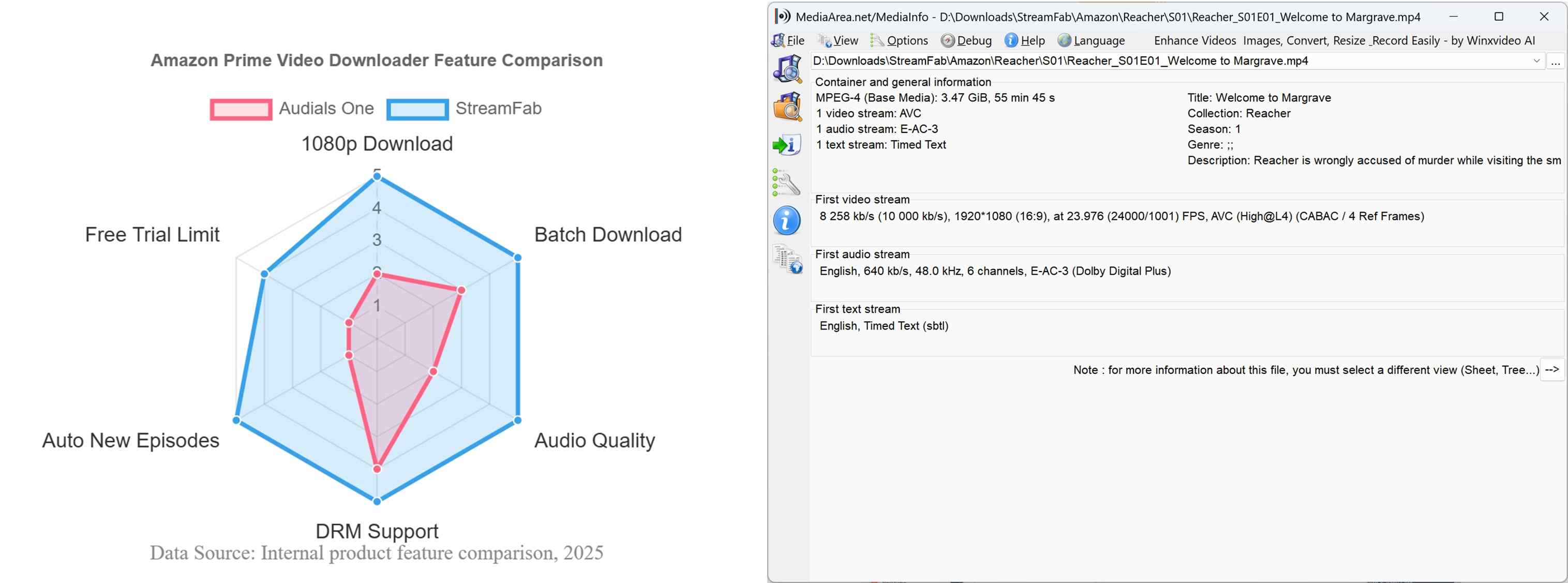 a overall infographic of streamfab amazon downloader, the better alternative to audials