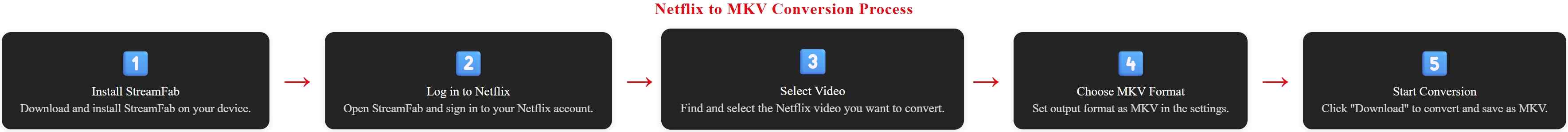 a workflow chart showing how to download netflix videos to mkv