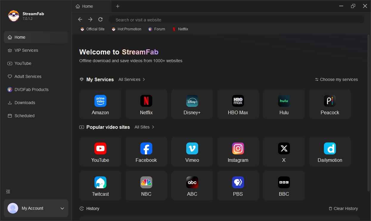 rip viki videos with streamfab