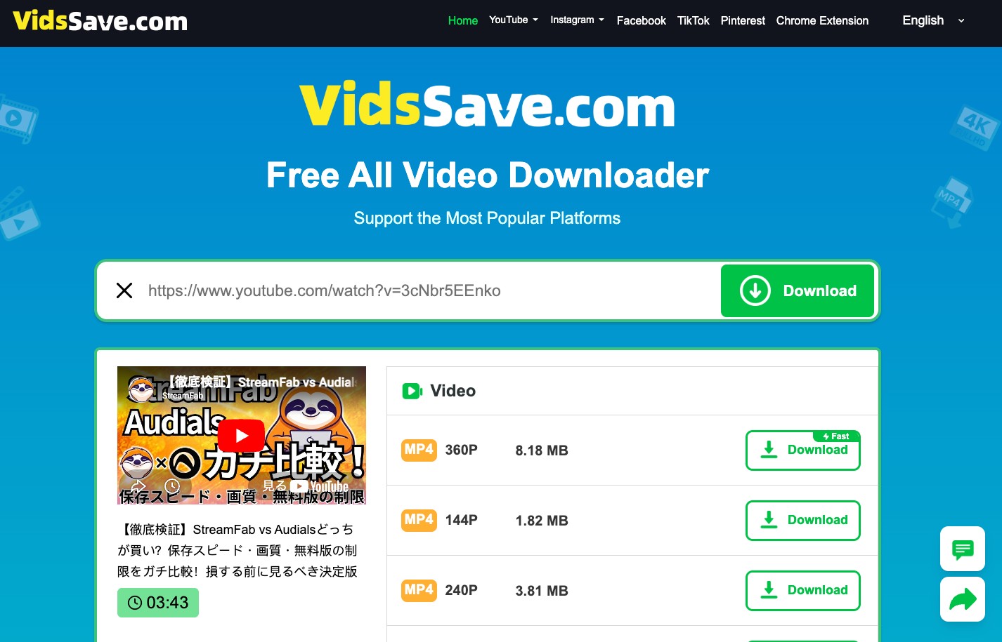 グローバル総合型:VidsSave