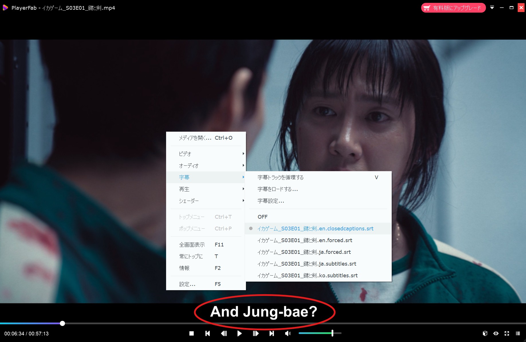 Streamfab Netflix 下載器的評價