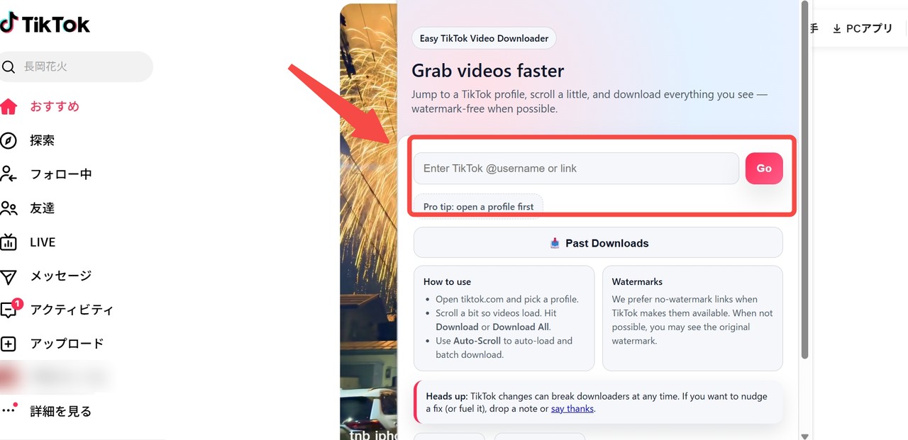 Easy TikTok Video Downloader