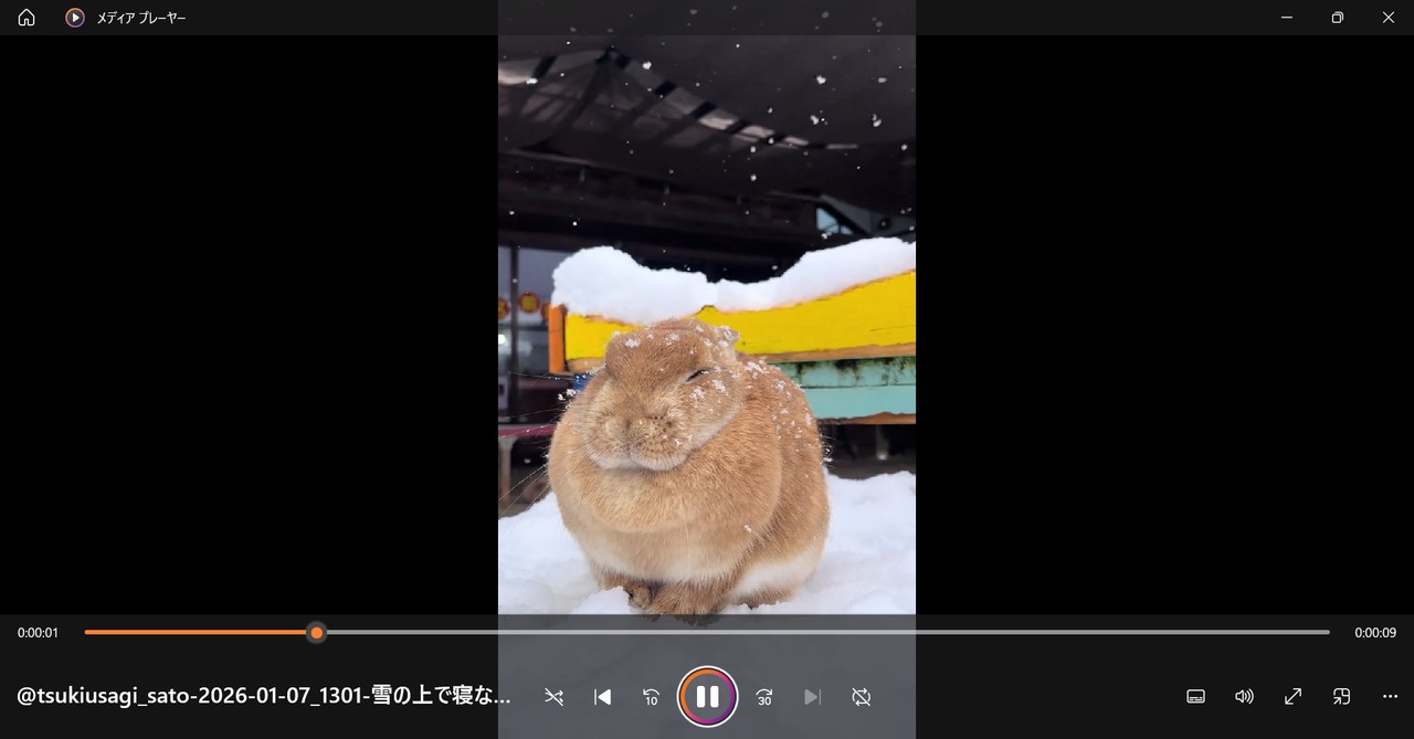 Easy TikTok Video Downloader