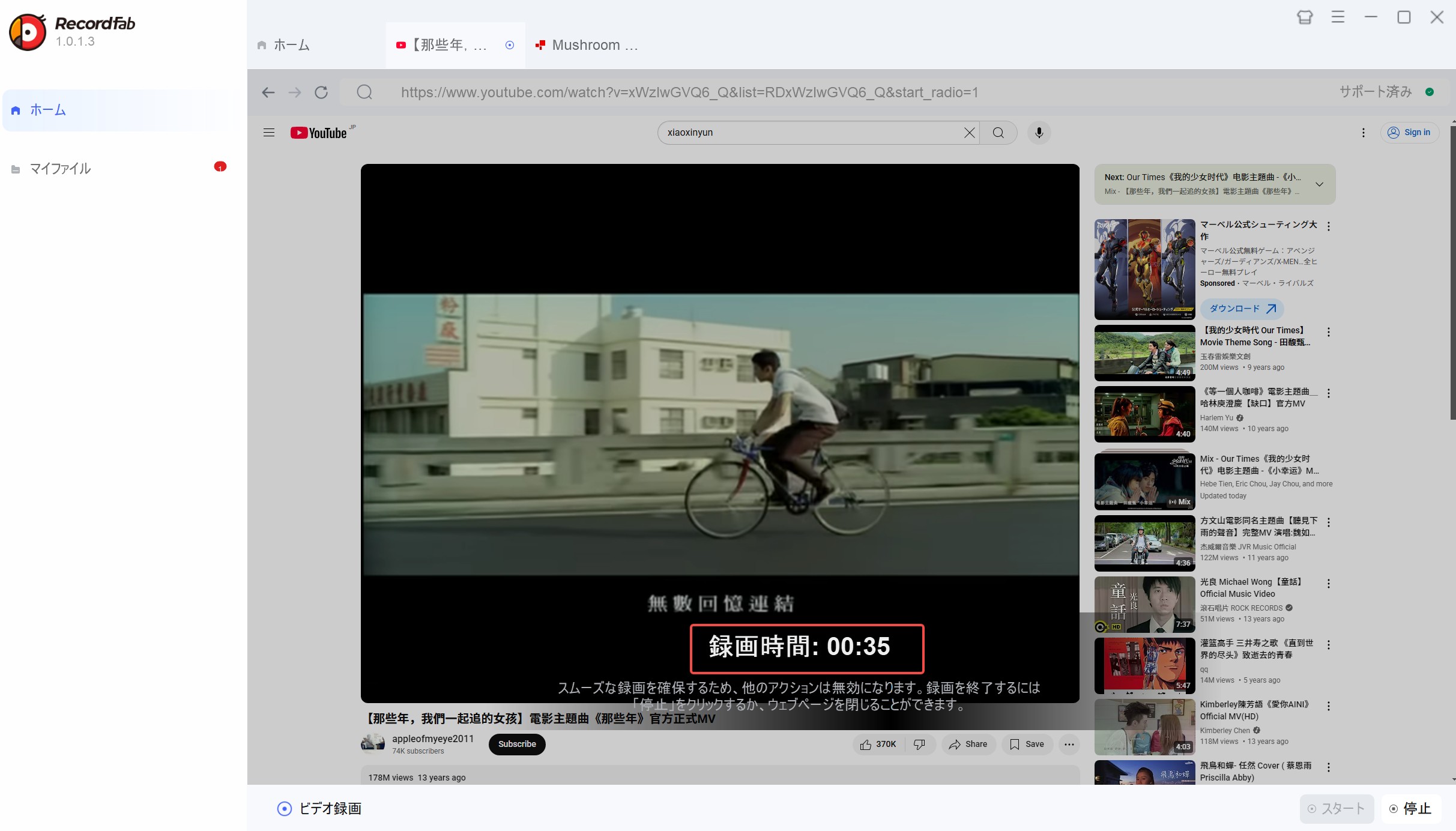 StreamFab 替代方案